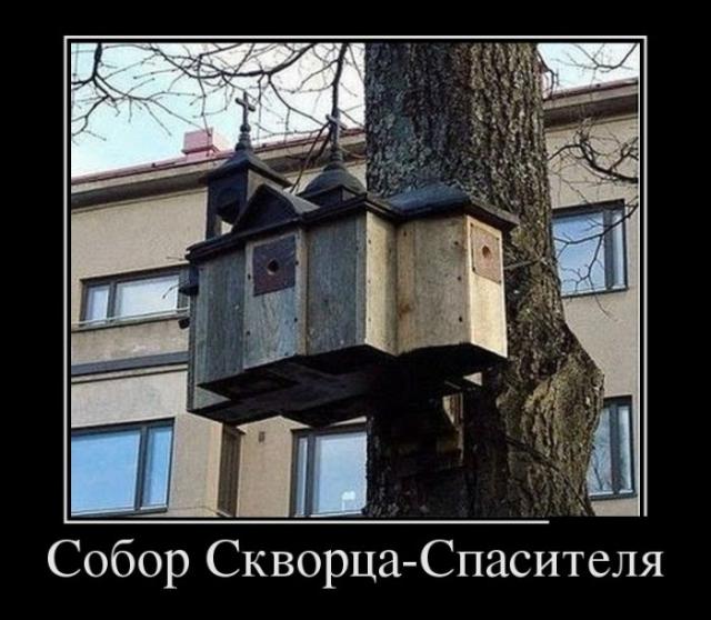Демотиваторы (30 фото)