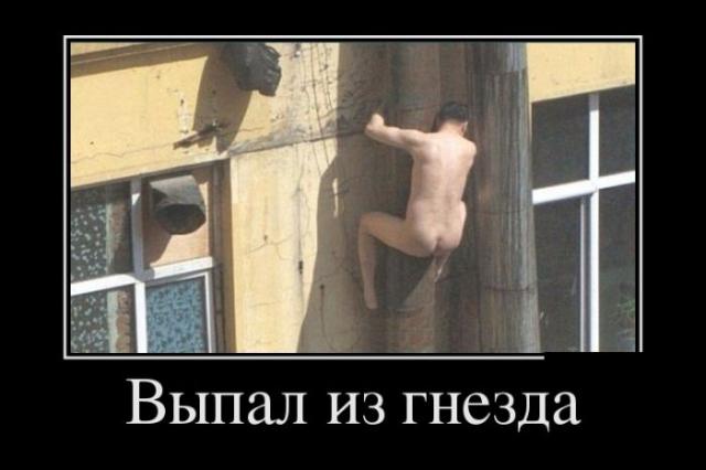Демотиваторы (30 фото)