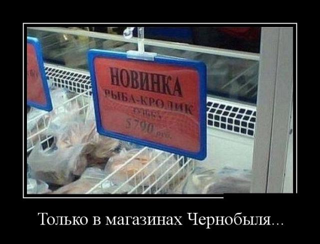 Демотиваторы (28 фото)