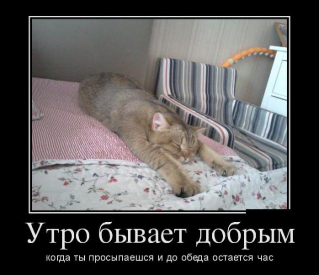 Демотиваторы (28 фото)