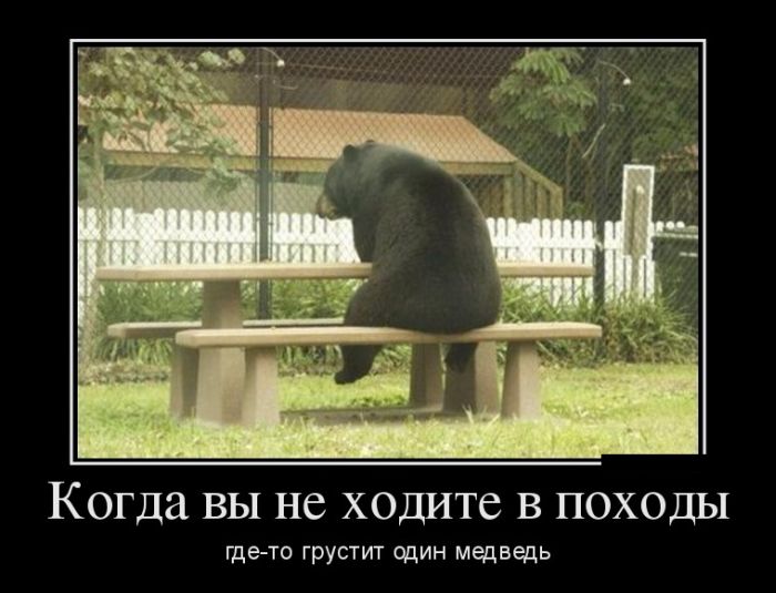 Демотиваторы (28 фото)