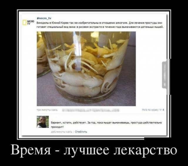 Демотиваторы (28 фото)