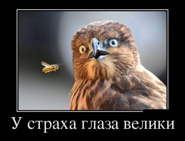 Демотиваторы (28 фото)