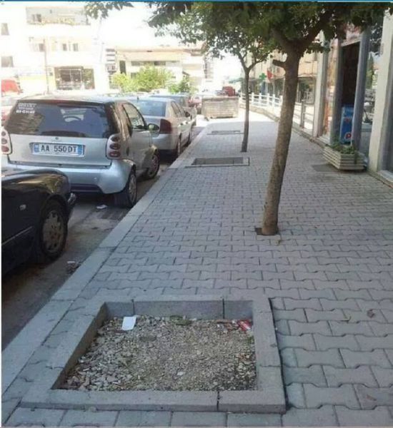 Прикольные картинки (53 фото)