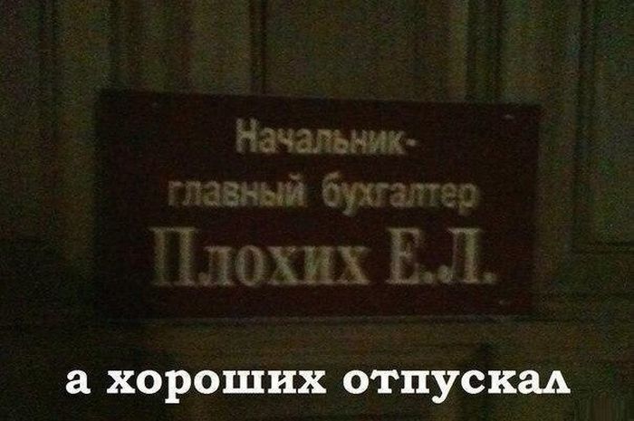 Прикольные картинки (53 фото)