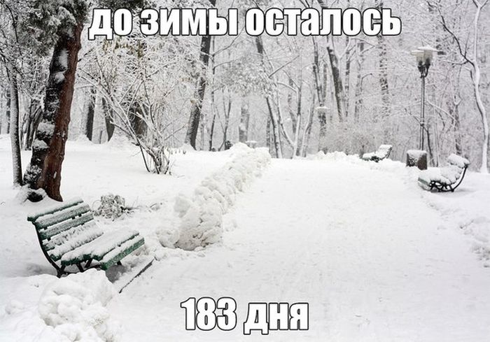 Прикольные картинки (53 фото)