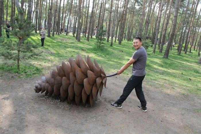 Прикольные картинки (53 фото)