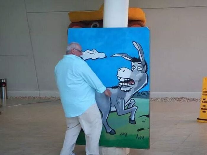 Забавные картинки