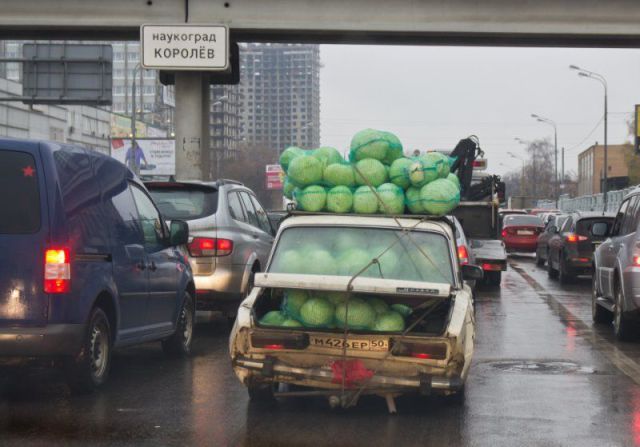 Прикольные картинки (53 фото)