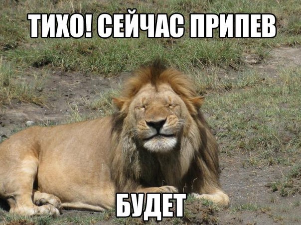 Прикольные картинки (50 фото)