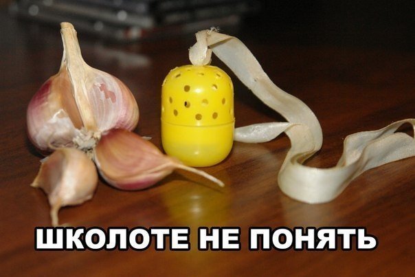 Прикольные картинки (50 фото)