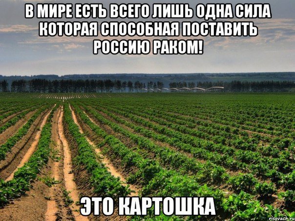 Политические околоукраинские картинки