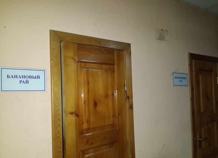 Забавные картинки