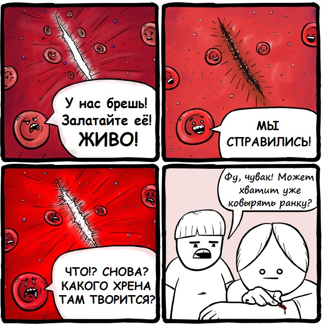 Забавные картинки