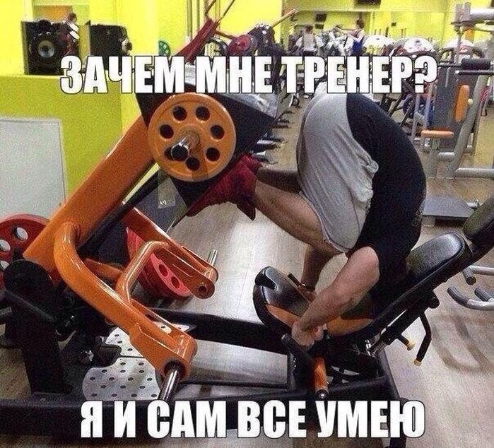 Забавные картинки
