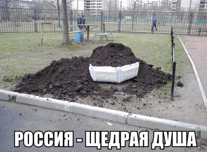Забавные картинки