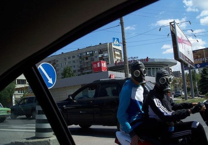 Забавные картинки