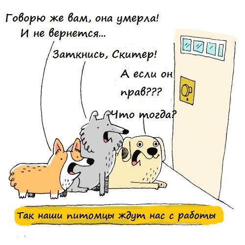 Забавные картинки