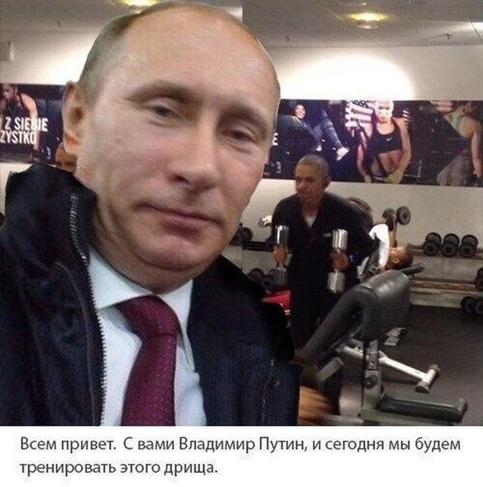 Забавные картинки