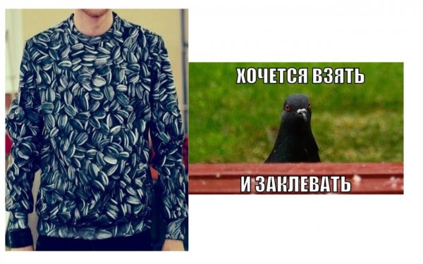 Прикольные картинки (60 фото)