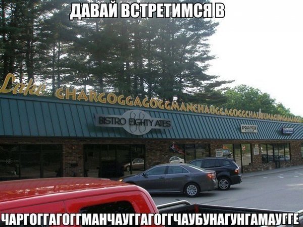 Прикольные картинки (60 фото)