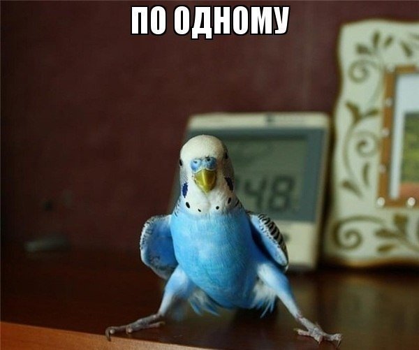 Прикольные картинки (60 фото)