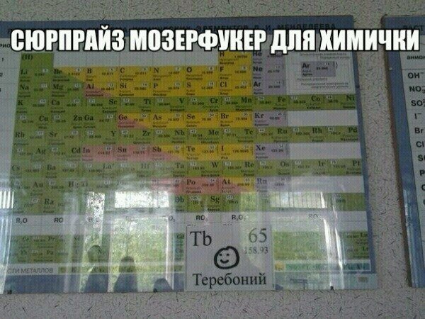 Прикольные картинки (60 фото)