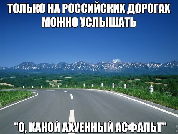 Прикольные картинки (60 фото)