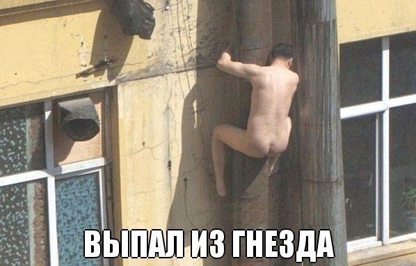 Прикольные картинки (60 фото)