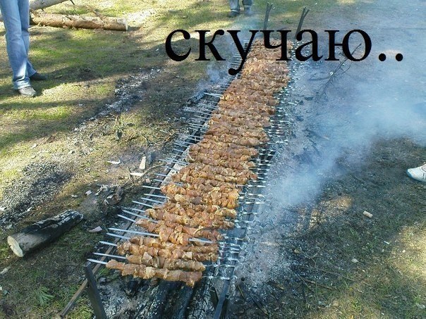 Прикольные картинки (60 фото)