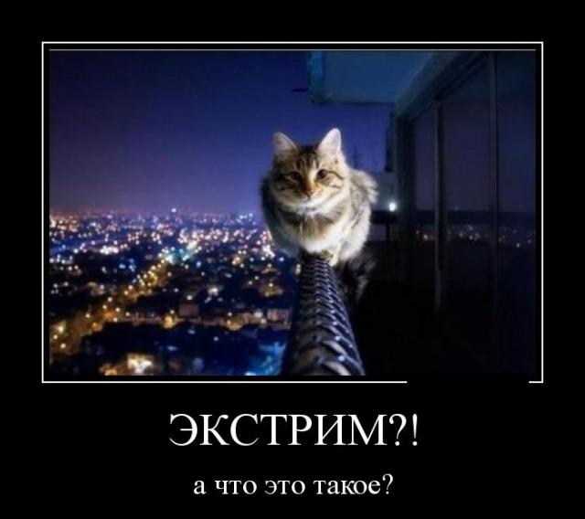 Демотиваторы (30 фото)