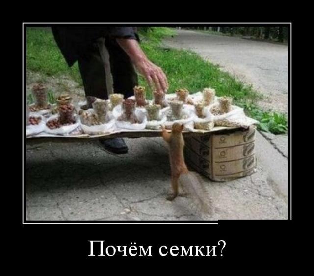 Демотиваторы (30 фото)