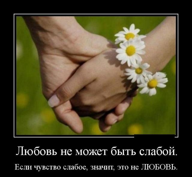Демотиваторы (30 фото)