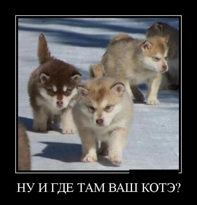 Демотиваторы (30 фото)