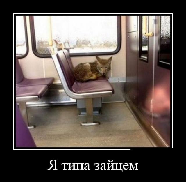 Демотиваторы (30 фото)