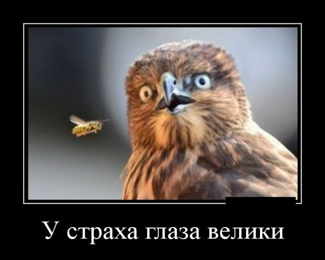 Демотиваторы (30 фото)