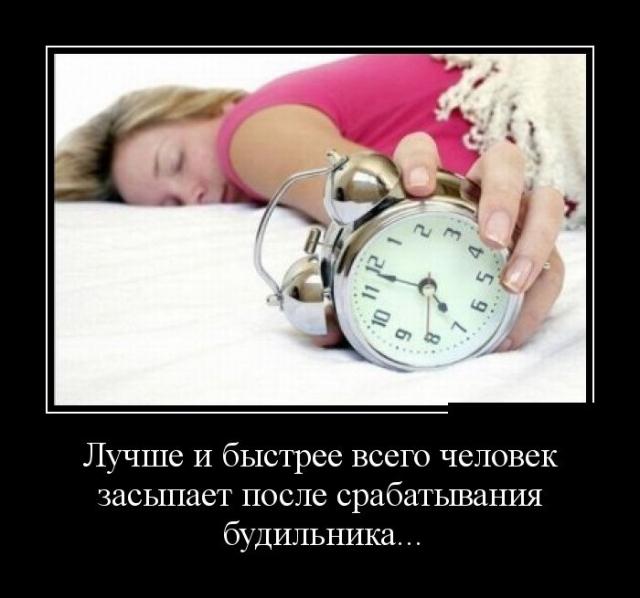 Демотиваторы (30 фото)