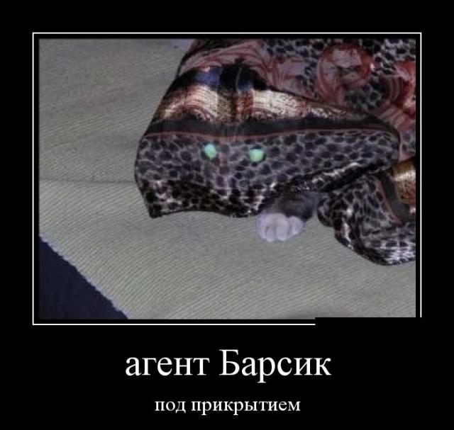 Демотиваторы (30 фото)