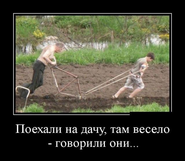 Демотиваторы (30 фото)