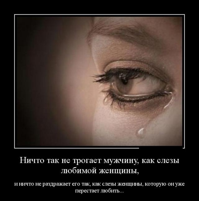 Демотиваторы (30 фото)