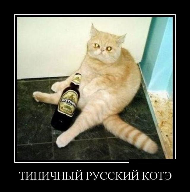 Демотиваторы (30 фото)