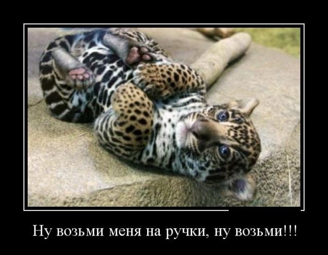 Демотиваторы (30 фото)