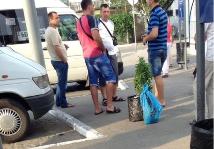 Забавные картинки