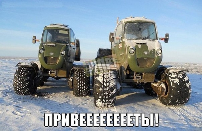 Забавные картинки