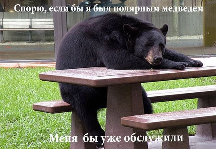 Забавные картинки