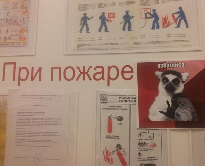 Забавные картинки