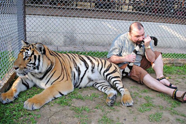 Техника безопасности превыше всего (33 фото)