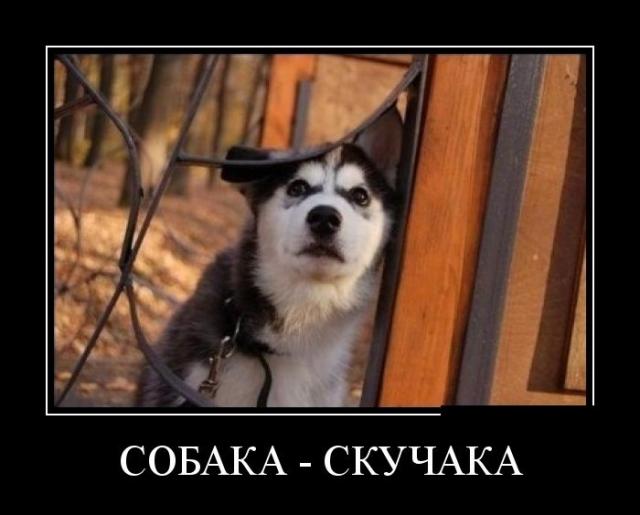 Демотиваторы (30 фото)