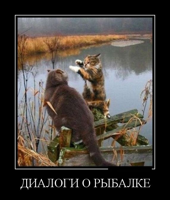 Демотиваторы (30 фото)