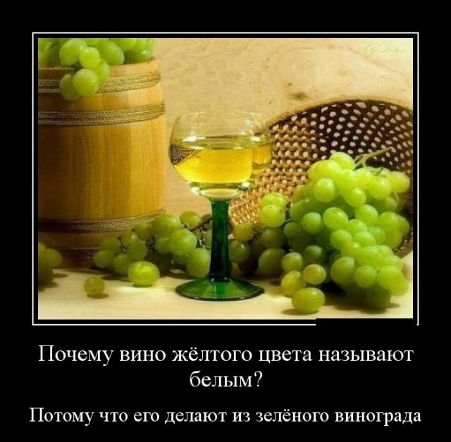 Демотиваторы (30 фото)